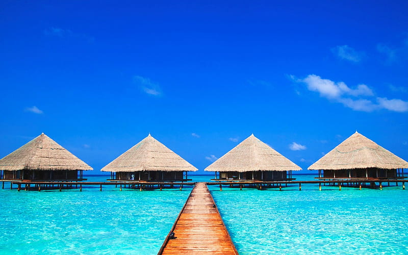 Bora Bora, resort, tropical island, bungalow, sea, summer, seascape, blue lagoon, HD wallpaper
