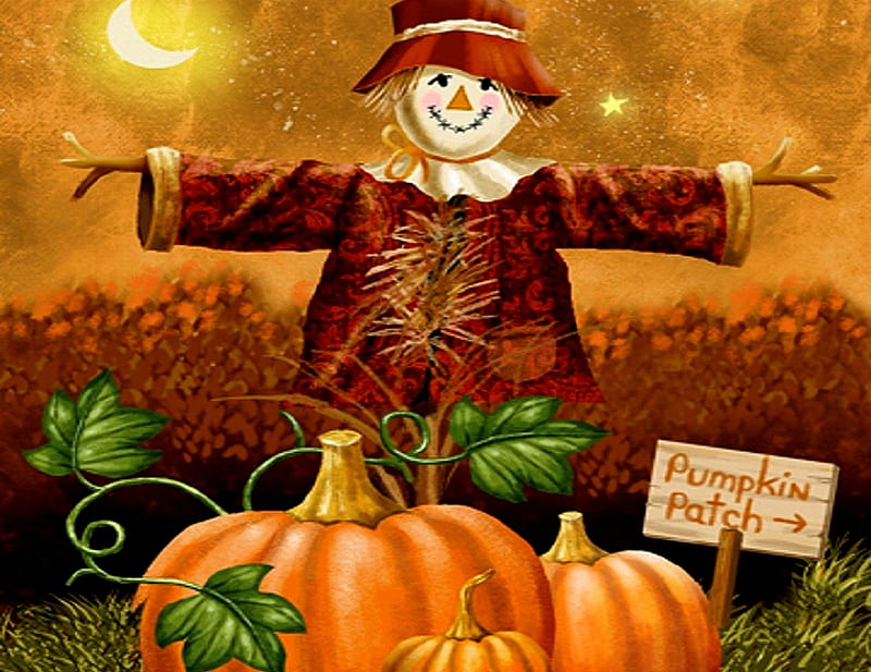 Pumpkin Patch, Scarecrow, Orange, Pumpkins, Abstract, Hat, Patch, Fantasy, HD wallpaper