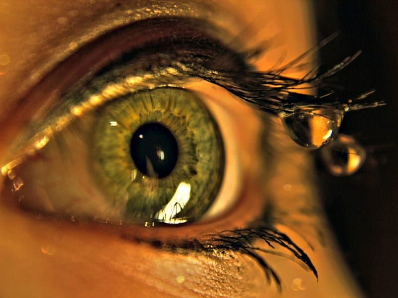 Eye drops, eyelashes, pupils, drops, green eyes, HD wallpaper
