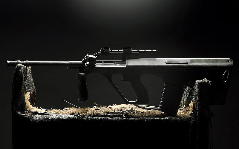 Steyr AUG, Armee Universal Gewehr, assault rifle, Conter Strike, CS, small arms, Austrian rifles, HD wallpaper