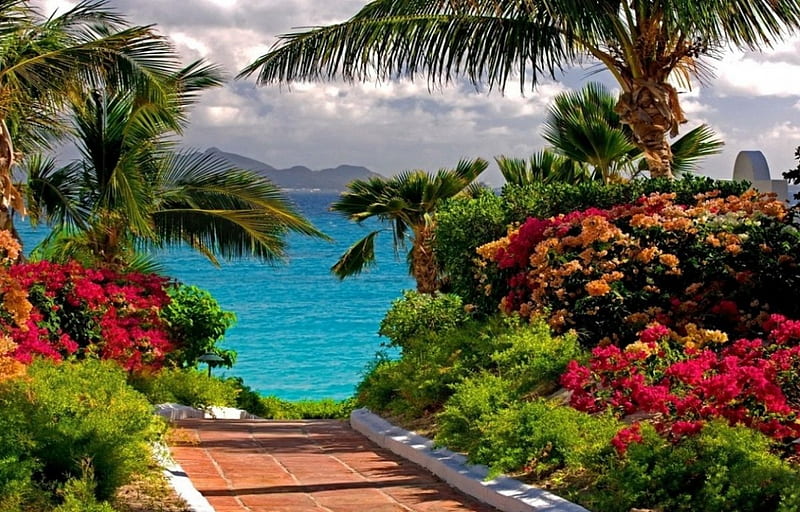 Pathway To The Sea, lovely, springtime, ocean, colors, bonito, clouds, shrubs, palm trees, water, pathway, mountains, flowers, garden, HD wallpaper