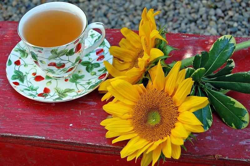 SunFlower afternoon, red, yellow, cup of tea, tea, afternoon, love, siempre, brilliant, magnificent, light, delicious, sunflower, happy, annie, warmth, entertainment, always, summer, sunshine, fashion, HD wallpaper