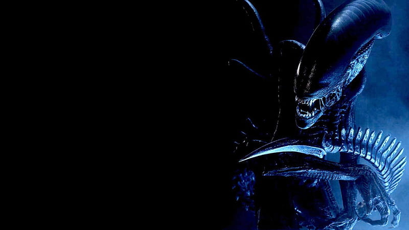 Movie AVP: Alien vs. Predator HD Wallpaper