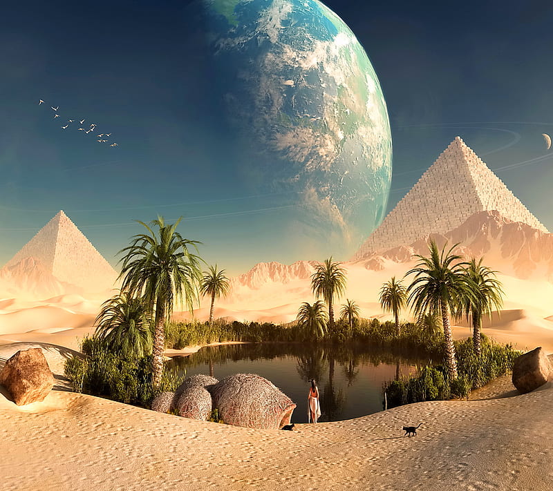 Oasis, desert, egypt, pyramid, HD wallpaper