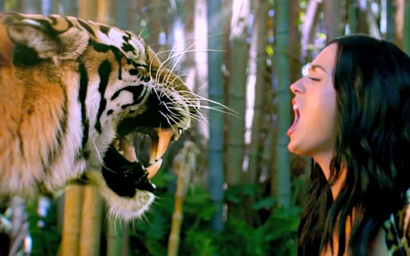 Katy Perry ~ ROAR, Tiger, Jungle, Musician, Album, HD wallpaper