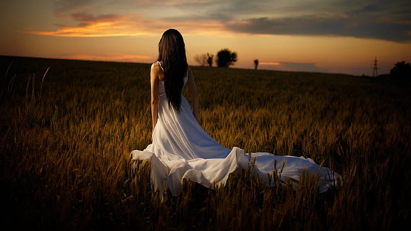 Girl in a field, sun, evening, white, cornfield, clouds, lady, HD wallpaper