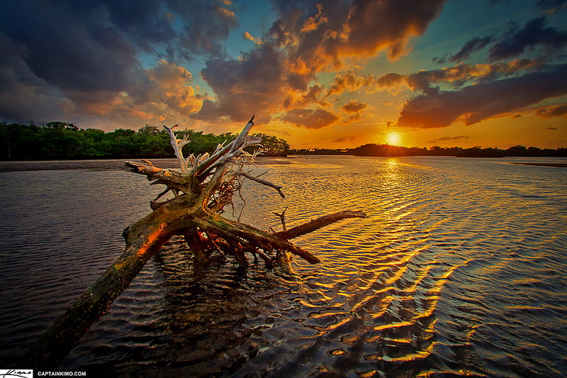 Driftwood from Lake, driftwood, water, sunset, clouds, sky, lake, HD