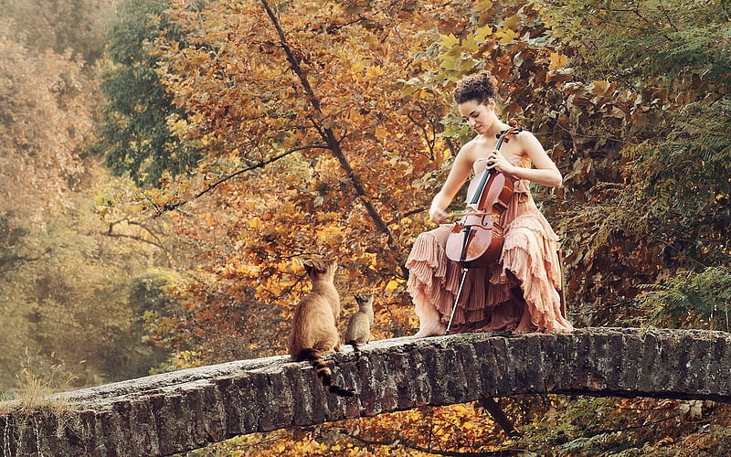 girl, autumn, stone bridge, cello, HD wallpaper
