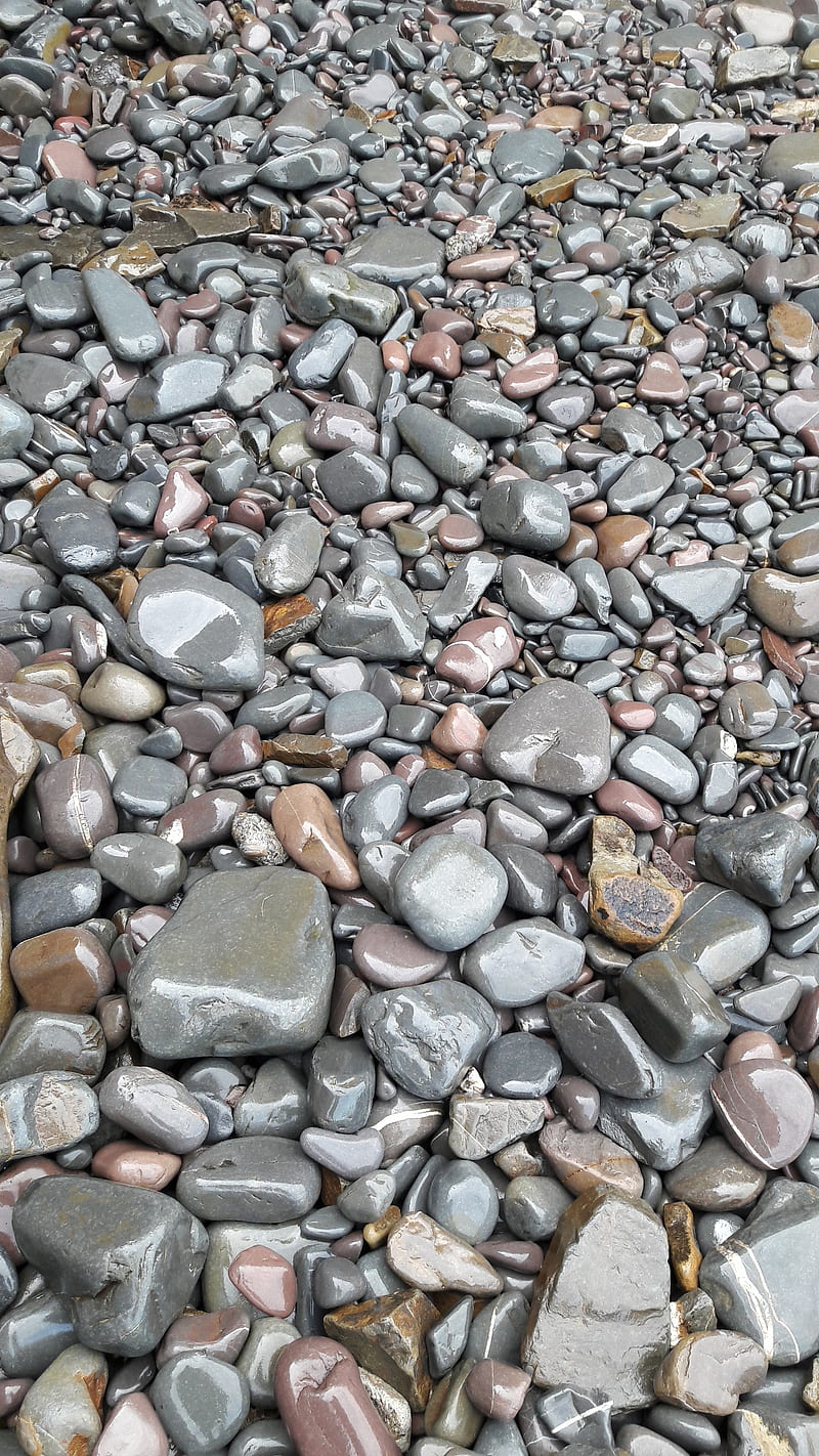 Wet pebbles, beach, pebbles, rocks, sea, stones, water, HD phone wallpaper