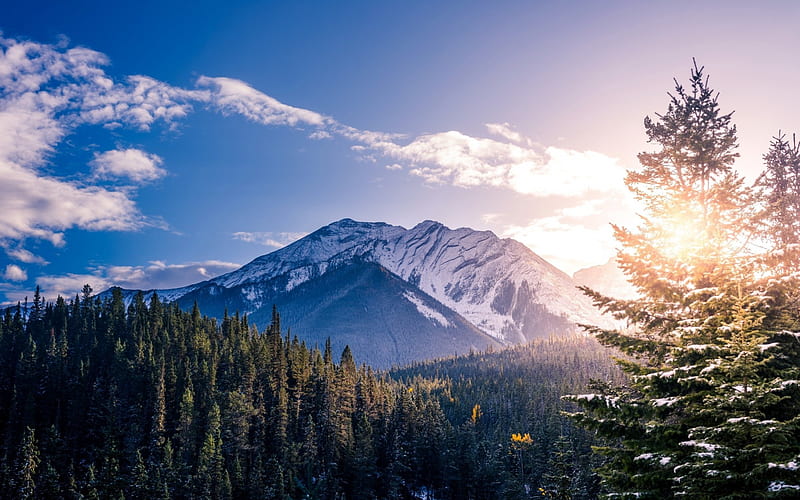 mountain landscape, spring, morning, sunrise, forest, USA, beautiful landscape, HD wallpaper