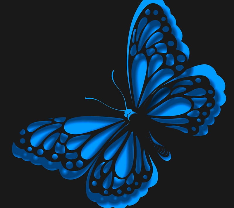 Blue Butterfly, pretty, wings, lovely, black, bonito, abstract, sweet, cute, 3D, butterfly, beauty, blue, HD wallpaper