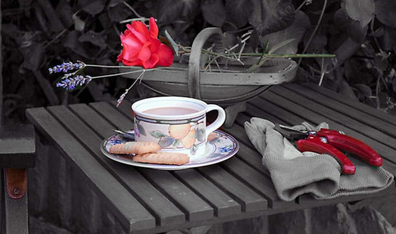sweet morning, table, still life, cookies, coffee, basket, garden gloves, flowers, garden shears, HD wallpaper