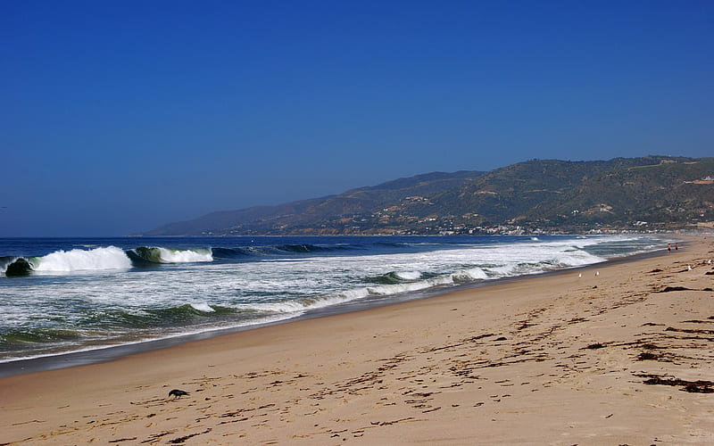 620+ Zuma Beach Stock Photos, Pictures & Royalty-Free Images