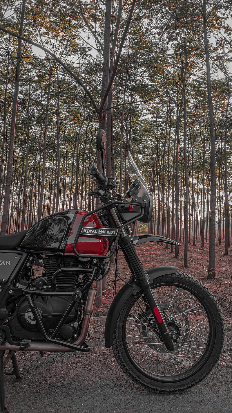 HIMALAYAN, bike, motorcycle, royal enfield, HD phone wallpaper