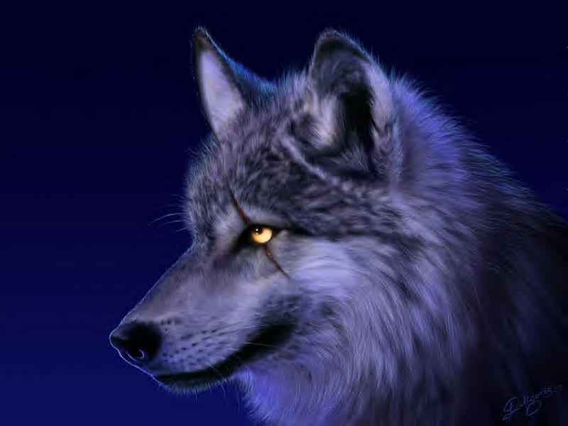 Scar Wolf, CGI, Artwork, Wolf, Wolves, HD wallpaper