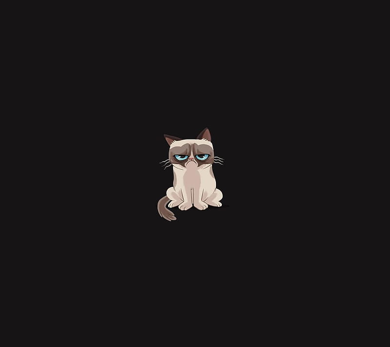 Grumpy Cat, 9gag, cartoon, cat, comic, grumpy, meme, HD wallpaper