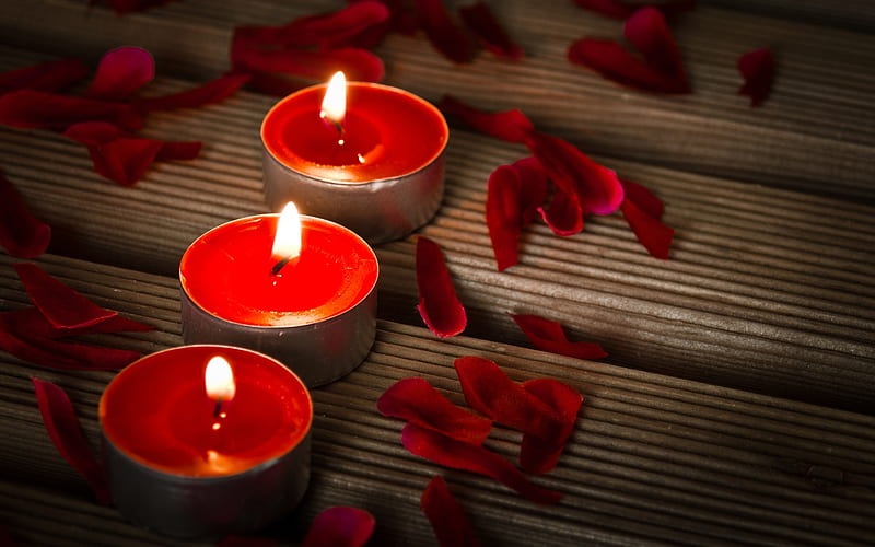 Candles and rose petals, red, peace, candles, rose petals, warmth, beauty, petals, light, harmony, HD wallpaper
