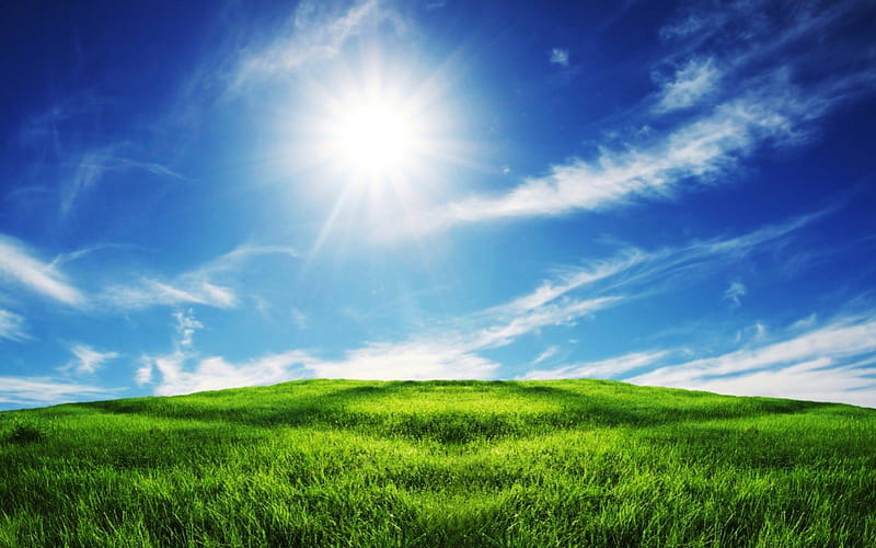 Sunny Field, sun, grass, wind, sky, clouds, daylight, green, bright, day, nature, field, sway, blue, HD wallpaper