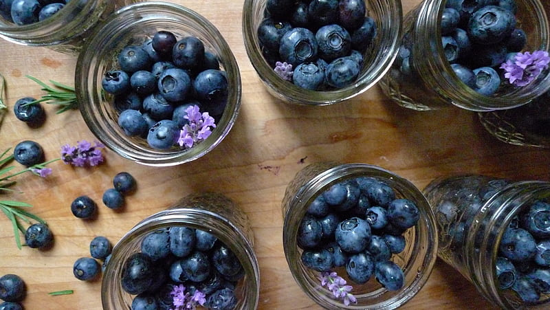 Wild Blueberries, wild, jar, mason, blueberries, lavender, HD wallpaper