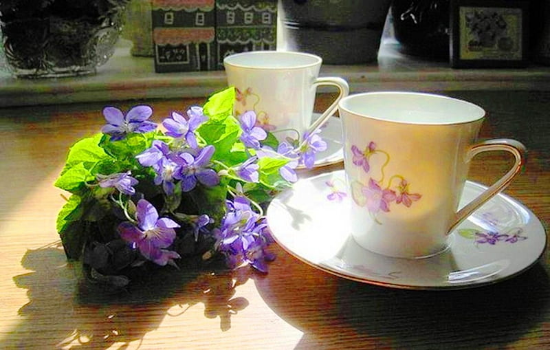 Morning moments, lifgt, sun, small, tea, still life, graphy, flowers, beauty, morning, cups, porcelain, time, moments, fresh, sunlight, violets, spring, delicate, abstract, freshness, purple, day, nature, white, HD wallpaper