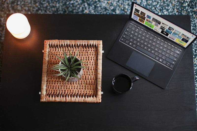 green plant on brown woven basket beside black Surface device, HD wallpaper
