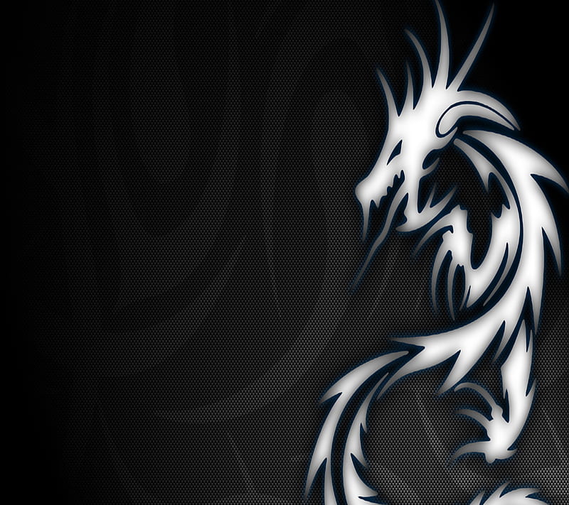Dragon, HD wallpaper | Peakpx