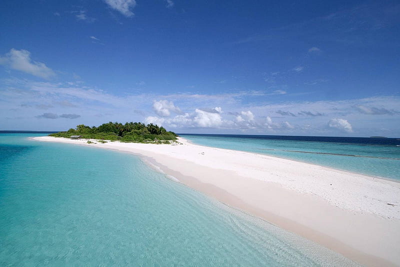 Sandbank in the Maldives, sandbank, holiday, Maldives, ocean, atoll, sea, lagoon, beach, sand, paradise, island, tropical, HD wallpaper