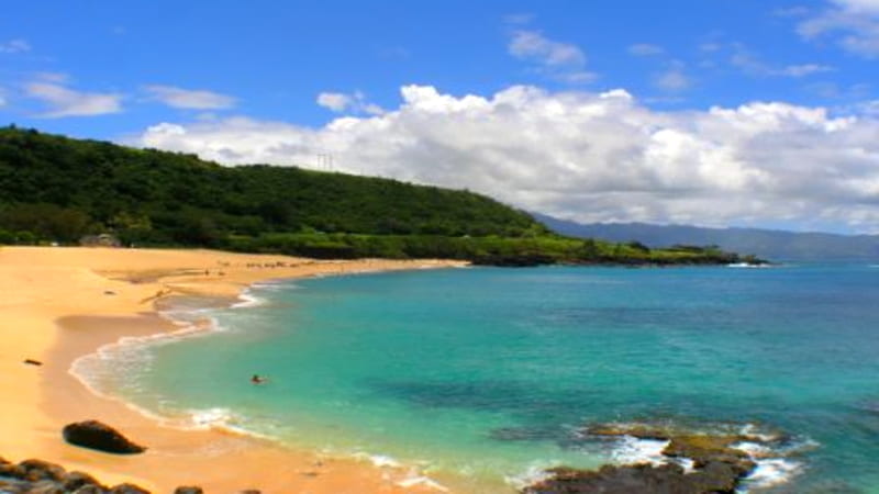Waimea Bay, oahu, island, tropical, hawaii, HD wallpaper