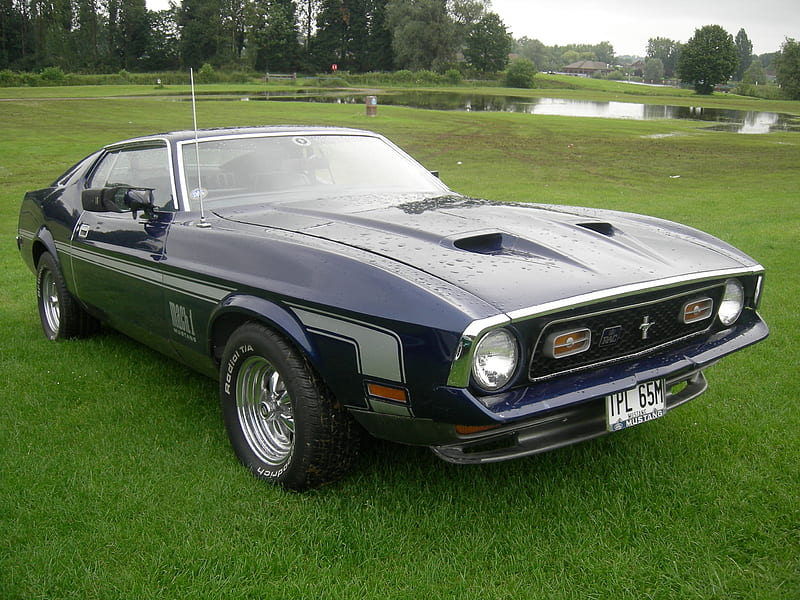 Ford Mustang Mach 1, Mustang, Ford, Mach 1, classic, vintage, HD ...