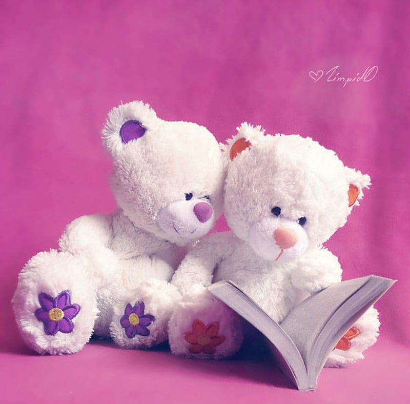 Enjoy the Read, book, soft, teddybears, pink, HD wallpaper