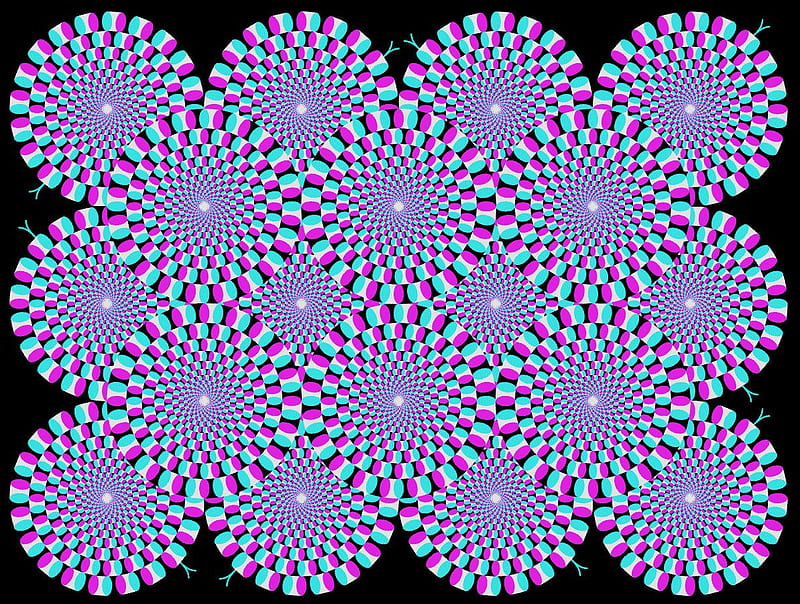 Rotsnake, HD wallpaper