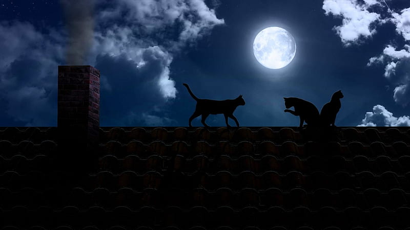 On the roof, roof, cloud, moon, luminos, full, black, cat, silhouette, animal, fantasy, moon, pisici, blue, HD wallpaper