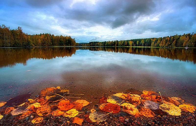 ✫Autumn Leaves in Lake✫, autumn, stunning, clouds, graphy, leaves, waterscapes, Finland, lakes, fall season, love four seasons, places, creative pre-made, floating, sky, trees, plants, nature, reflections, floatings, HD wallpaper