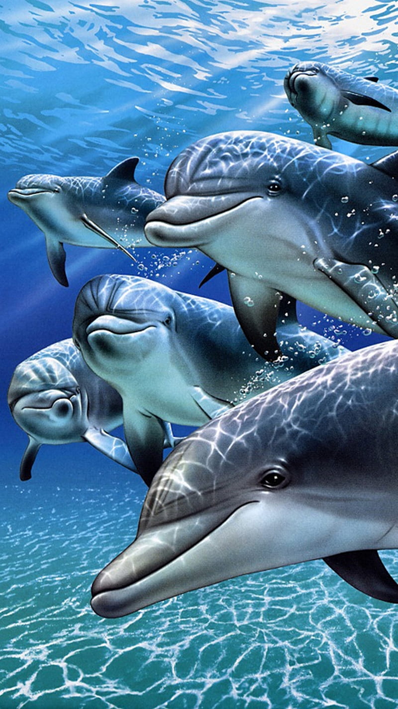 dolphin family, cute, dolphin, family, sea, HD phone wallpaper