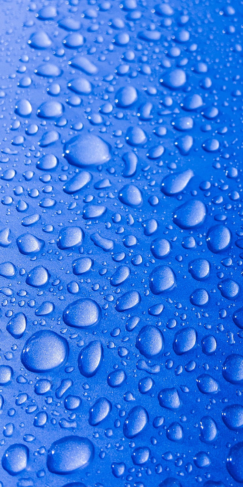 3840x2160px 4k Free Download Drops Aqua Blue Macro Nature Rain Raindrops Water