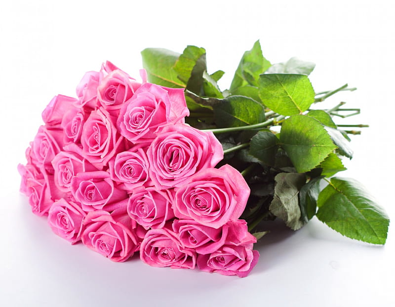 Pink Roses, bouquet, fresh, flowers, bonito, roses, pink, HD wallpaper ...