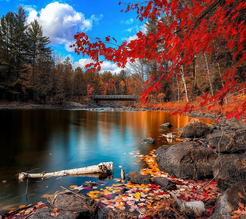 Autumn Scenery, good, look, HD wallpaper