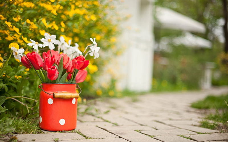 ~Morning in the garden~, red, morningsunny, daffodils, yellow, spring, metal vase, bright, precious, flowers, garden, nature, tulips, sunshine, white, HD wallpaper