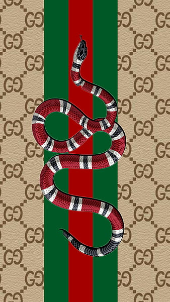 Gucci Snake, gg gucci, HD phone wallpaper | Peakpx