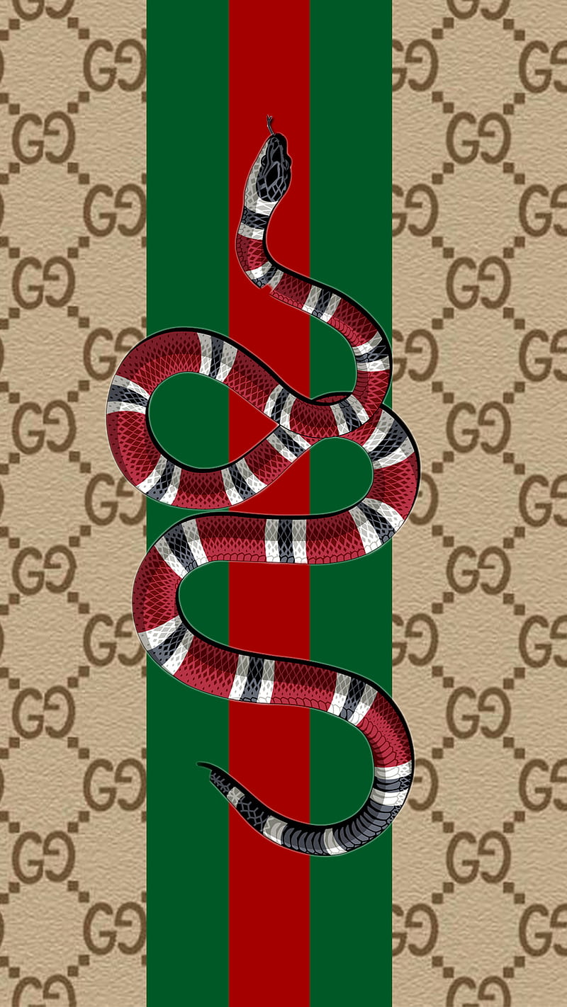 Achtervolging heel Tegenslag Gucci, snake, HD phone wallpaper | Peakpx