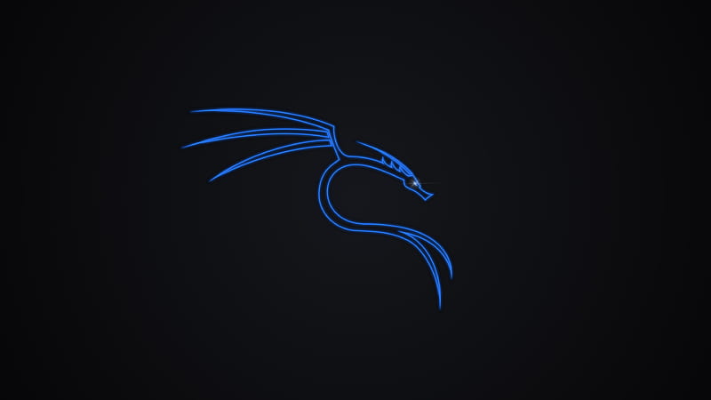 Kali linux, computer, blue, dragon, HD wallpaper