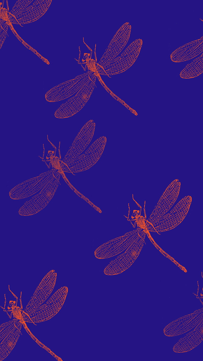 dragonfly, abstract blue, orange, pattern, simple, HD phone wallpaper