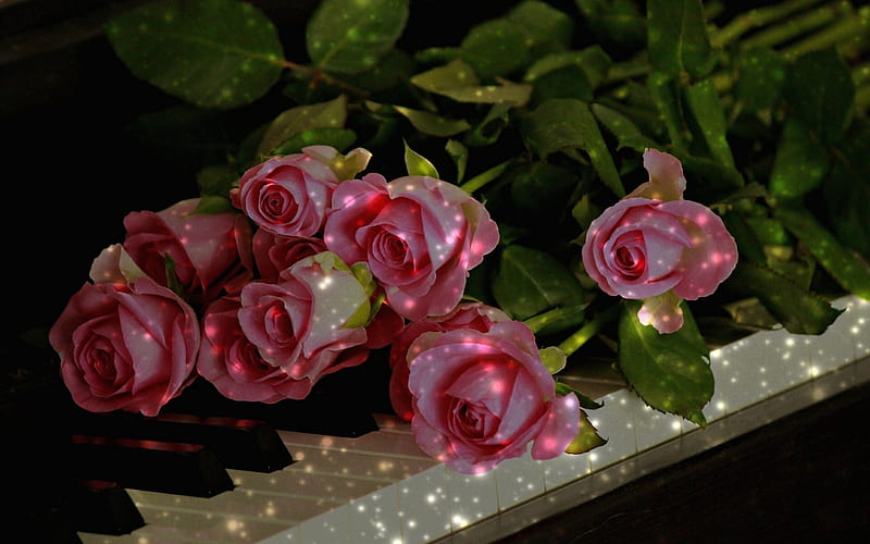 Pink Roses, Flowers, Pianos, Bouquet, Keyboard, HD wallpaper