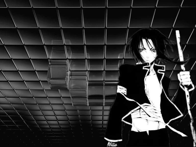 Warrior Of Black And White Vostfr Warrior, black, white, anime, HD wallpaper | Peakpx