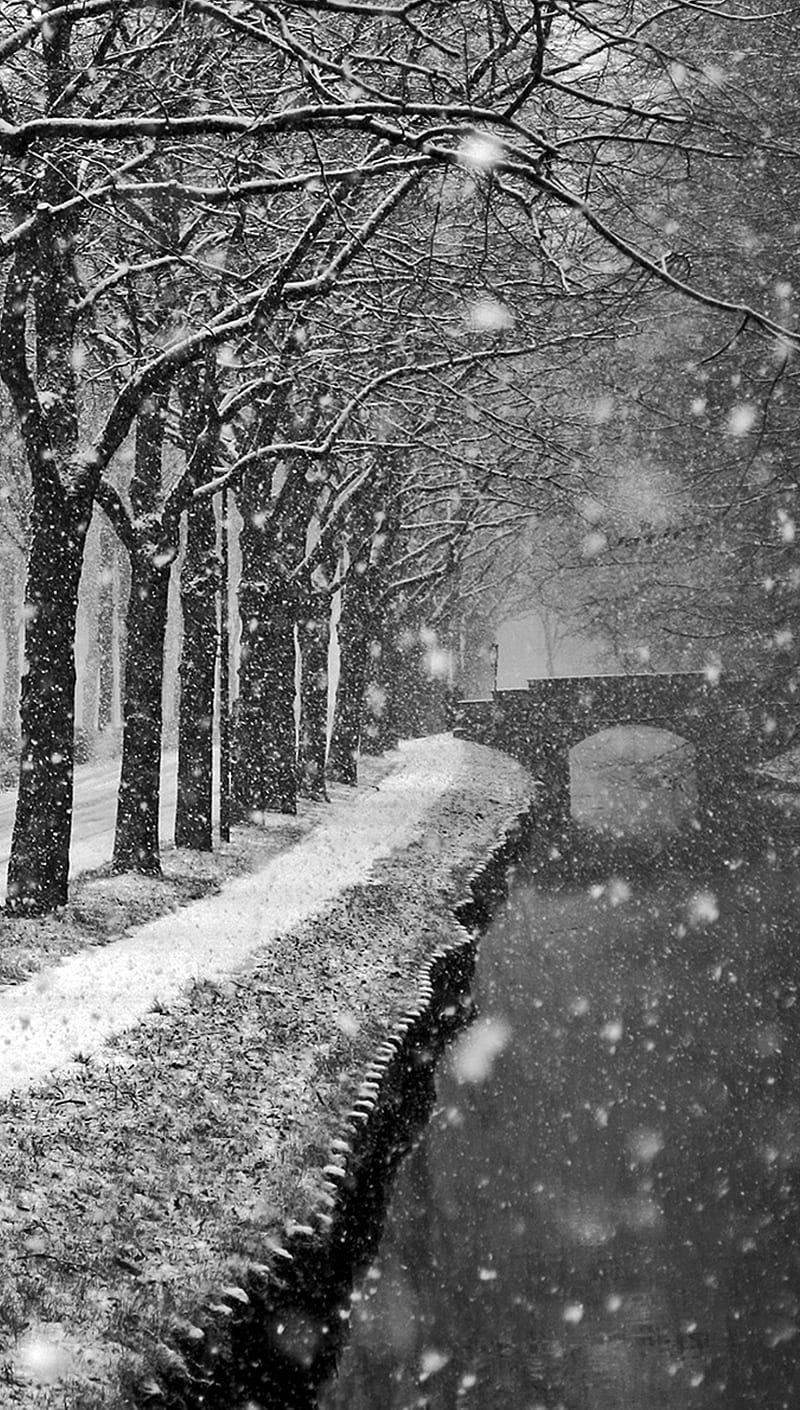 Winter Romantic, bridge, nature, snow, HD phone wallpaper