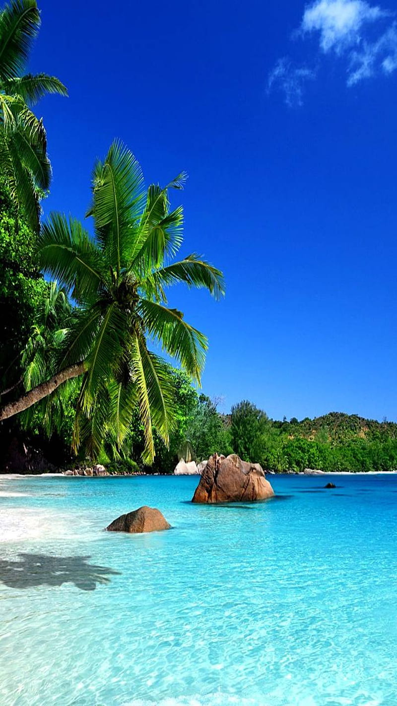 Life in paradise , ocean, blue, beach, water, HD phone wallpaper
