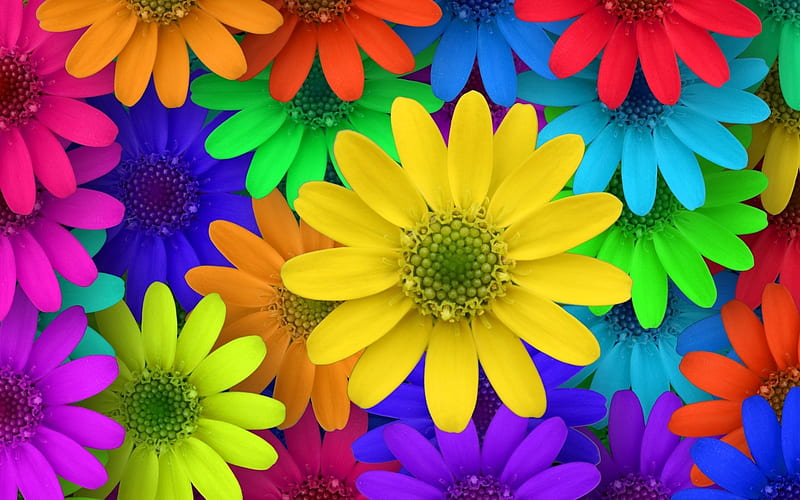 Flores de colores, rojo, naranja, amarillo, abstracto, púrpura, macro,  brillante, Fondo de pantalla HD | Peakpx