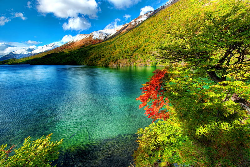Crystal lake, colorful, shore, bushes, mirrored, mountain, flowers, river, tranquility, blue, quiet, calmness, clear, greenery, emerald, sky, trees, lake, waters, serenity, summer, crystal, nature, branches, HD wallpaper