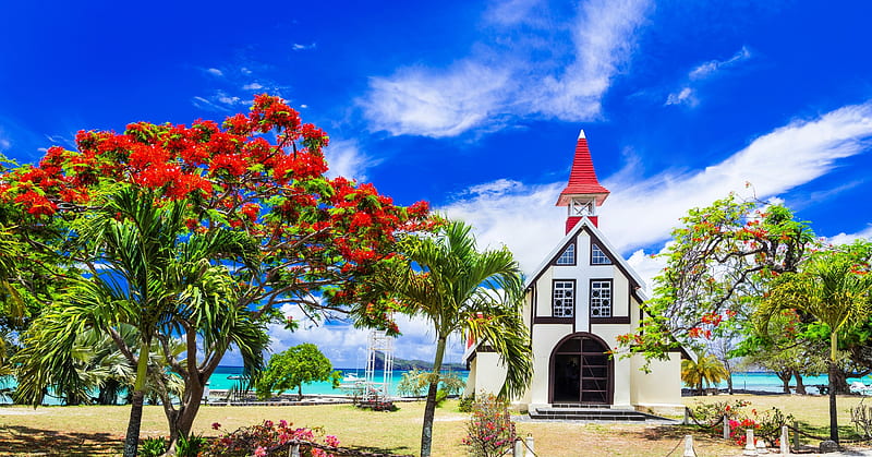 Scenery of beautiful Mauritius island, tree, summer, island, bonito, scenery, que, church, red, beach, blooming, HD wallpaper