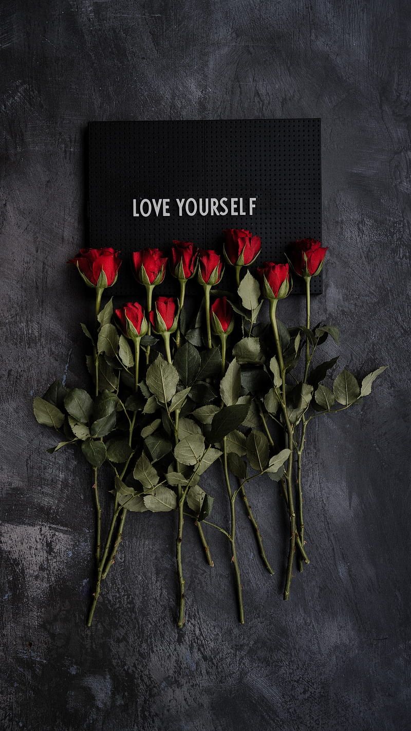 Love Yourself , roses, flowers, plate, inscription, motivation, inspirational, quote, love yourself, HD phone wallpaper